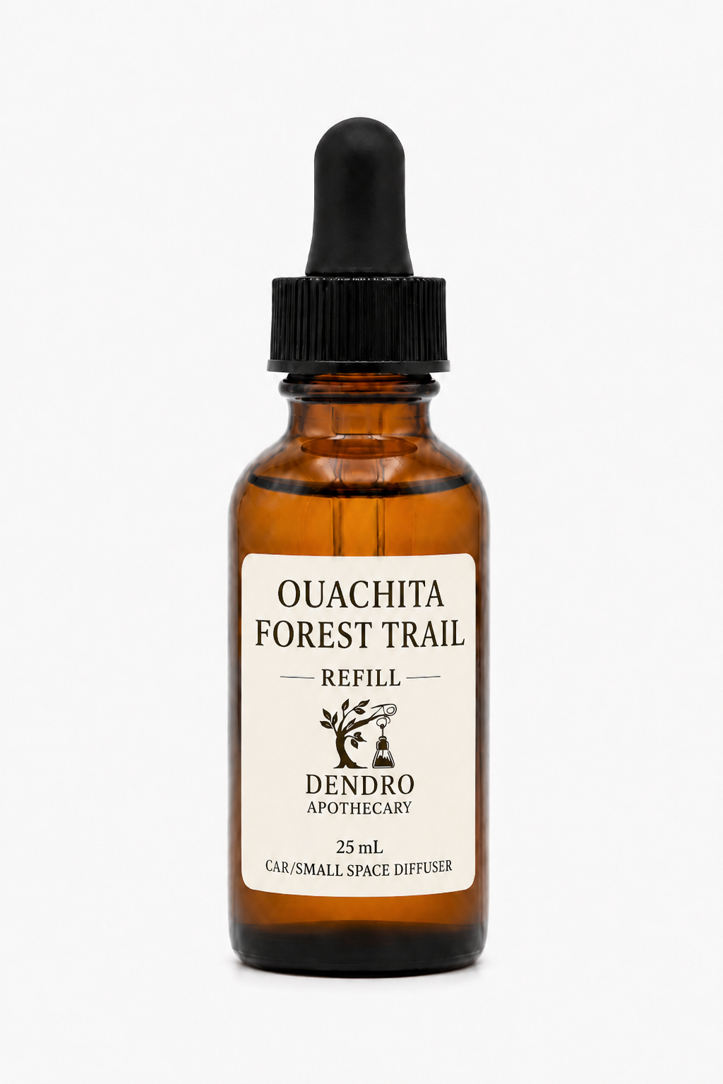 Ouachita Forest Trail