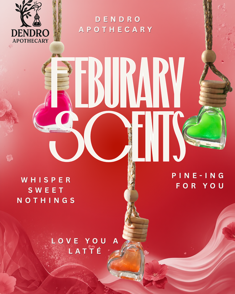 February 2026 Fragrance Release